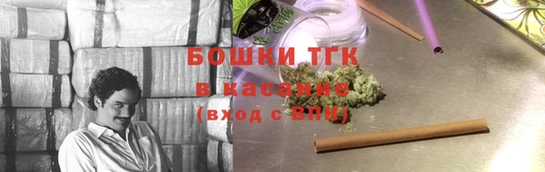 ГАЛЛЮЦИНОГЕННЫЕ ГРИБЫ Аркадак