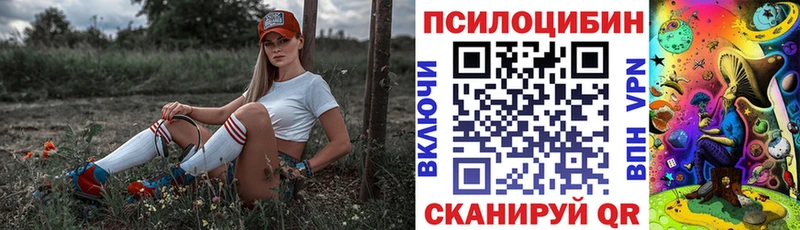 кракен сайт Валдай Галлюциногенные грибы Psilocybe